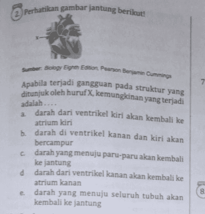 Perhatikan gambar jantung berikut! 7 Sumber: Bology Eighth Edition Pearson Benjamin Cummings Apabila terjadi gangguan pada struktur yang ditunjuk oleh huruf X, kemungkinan yang terjadi adalah.... a darah dari ventrikel kiri akan kembali ke atrium kiri b. darah di ventrikel kanan dan kiri akan bercampur c darah yang menuju paru-paru akan kembali ke jantung d darah dari ventrikel kanan akan kembali ke atrium kanan darah yang menuju seluruh tubuh akan kembali ke jantung e 8 
