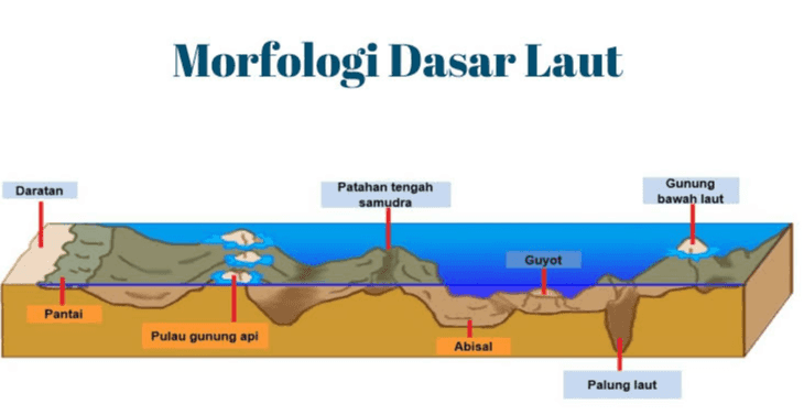 Morfologi Dasar Laut Daratan Patahan tengah samudra Gunung bawah laut Guyot Pantai Pulau gunung api Abisal Palung laut 