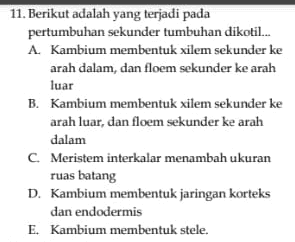 11. Berikut adalah yang terjadi pada pertumbuhan sekunder tumbuhan dikotil... A. Kambium membentuk xilem sekunder ke arah dalam, dan floem sekunder ke arah luar B. Kambium membentuk xilem sekunder ke arah luar, dan floem sekunder ke arah dalam C. Meristem interkalar menambah ukuran ruas batang D. Kambium membentuk jaringan korteks dan endodermis E. Kambium membentuk stele. 