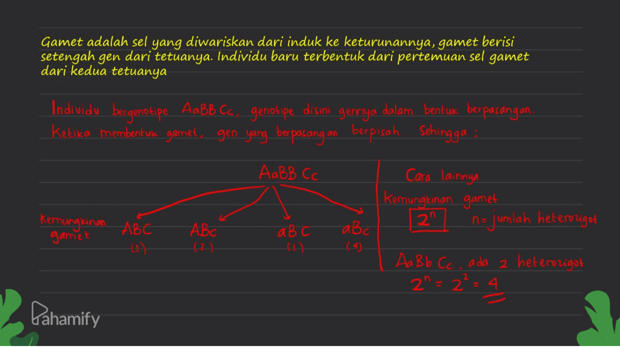 Gamet adalah sel yang diwariskan dari induk ke keturunannya, gamet berisi setengah gen dari tetuanya. Individu baru terbentuk dari pertemuan sel gamet dari kedua tetuanya Individu bergenotipe AaBB Cc, genotipe disini gennya dalam bentuk berpasangan. Ketika membentuk gamet, gen yang berpasang an berpisah. Sehingga ; AaBB Cc Kemungkinan ABC gamet Cara lainnya | kemungkinan gamet abc n = jumlah heterozigot (9) Aa Bb Cc, ada 2 heterozigot 2n=2=4 t ABC 621 a b c 2 Pahamify 
