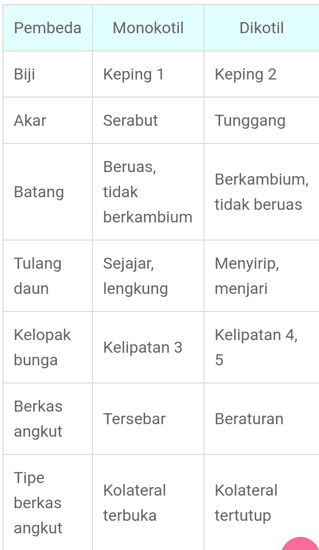 Pembeda Monokotil Dikotil Biji Keping 1 Keping 2 Akar Serabut Tunggang Batang Beruas, tidak berkambium Berkambium, tidak beruas Tulang daun Sejajar, lengkung Menyirip, menjari Kelopak bunga Kelipatan 3 Kelipatan 4, 5 Berkas Tersebar Beraturan angkut Kolateral Kolateral Tipe berkas angkut terbuka tertutup 