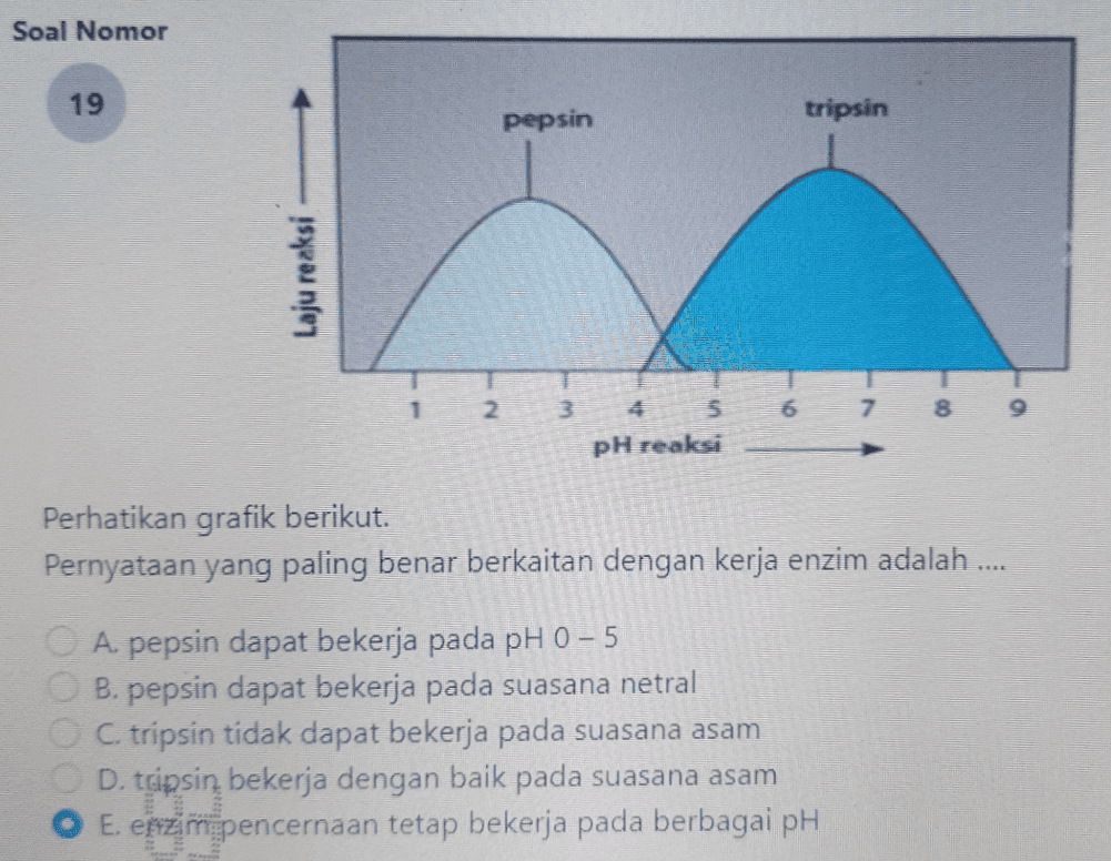 Soal Nomor 19 pepsin tripsin Laju reaksi 1 2 6 7. 8 3 5 pH reaksi Perhatikan grafik berikut. Pernyataan yang paling benar berkaitan dengan kerja enzim adalah ..... A. pepsin dapat bekerja pada pH 0 - 5 B. pepsin dapat bekerja pada suasana netral C. tripsin tidak dapat bekerja pada suasana asam D. tapsin bekerja dengan baik pada suasana asam E. epizim pencernaan tetap bekerja pada berbagai pH 