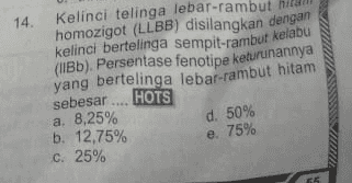 14. (Bb). Persentase fenotipe keturunannya Kelinci telinga lebar-rambut he homozigot (LLBB) disilangkan dengan kelinci bertelinga sempit-rambut kelabu yang bertelinga lebar-rambut hitam sebesar .... HOTS a. 8,25% b. 12,75% c. 25% d. 50% e. 75% 65 