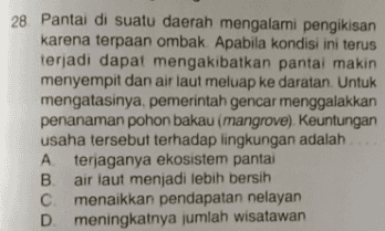 28. Pantai di suatu daerah mengalami pengikisan karena terpaan ombak. Apabila kondisi ini terus terjadi dapat mengakibatkan pantai makin menyempit dan air laut meluap ke daratan Untuk mengatasinya, pemerintah gencar menggalakkan penanaman pohon bakau (mangrove). Keuntungan usaha tersebut terhadap lingkungan adalah A terjaganya ekosistem pantai B air laut menjadi lebih bersih C. menaikkan pendapatan nelayan D. meningkatnya jumlah wisatawan 
