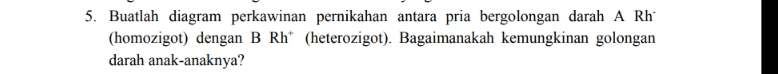 5. Buatlah diagram perkawinan pernikahan antara pria bergolongan darah A Rh (homozigot) dengan B Rh* (heterozigot). Bagaimanakah kemungkinan golongan darah anak-anaknya? 
