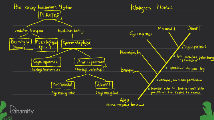 • Buat Kladogramnya Aracis hypogaea Solanum lycopersicum Oryza sativa Phaseolus vulgaris Spesies yang akan dibuat klodogramnya • Tentukan kelompoknya Marchantia polymorpha (bryophyta) Adiantum tenerum Cpteridophyta) Gnetum gnemon ( gymnospermae) ( monokotil) Solanum lycopersicum (monokotil) Phaseolus vulgaris (dikotil) Aracis hypogaea (dikotil) Gnetum gnemon Oryza sativa Adiantum tenerum biji memiliki pelindung (tertutup) oreproduksi dengan biji Marchantia polymorpha okormus, memilikci pembuluh memiliki kutikula, embrio multiseluler peralihan dari thalus ke kormus Pahamify 
Peta konsep taksonomi Plantae (PLANTAE Kladogram Plantae tumbuhan berspora tumbuhan berbiji Monokotil Dikatil Gymnospermae Bryophyta Pteridophytal spermatophyta (lumut) (paku) Angiospermae Pteridophyta, Gymnospermae (berbiji terbuka) Angiospermae (berbiji tertutup) biji , memiliki pelindung '(tertiup) o reproduksi dengan biji Bryophyta okormus, memilikci pembuluh monokotil dikotil ( biji keping satu) memiliki kutikula, embrio multiseluler peralihan dari thalus ke kormus (biji keping dual Alga nenek moyang bersama Pahamify 