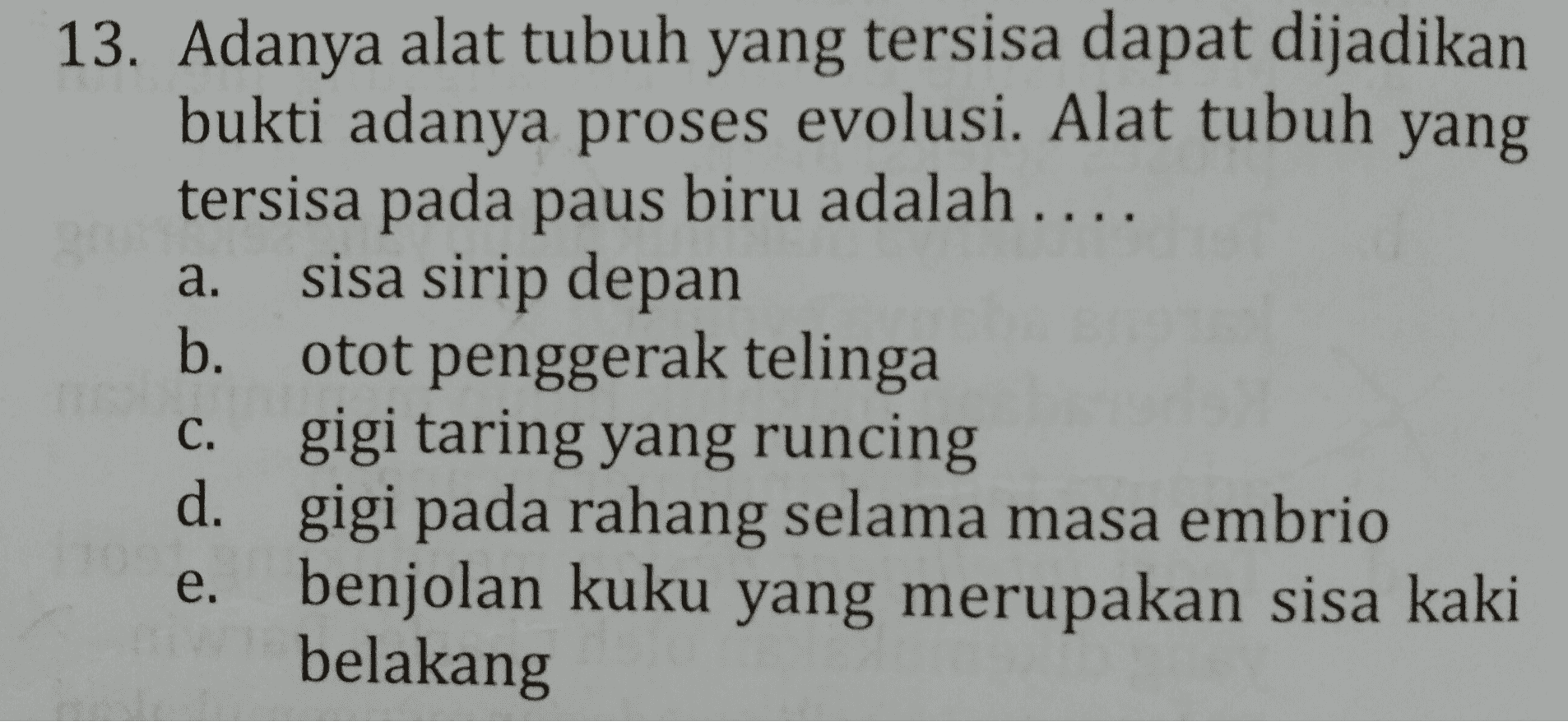 a. 13. Adanya alat tubuh yang tersisa dapat dijadikan bukti adanya proses evolusi. Alat tubuh yang tersisa pada paus biru adalah .... sisa sirip depan b. otot penggerak telinga gigi taring yang runcing d. gigi pada rahang selama masa embrio benjolan kuku yang merupakan sisa kaki belakang C. e. 