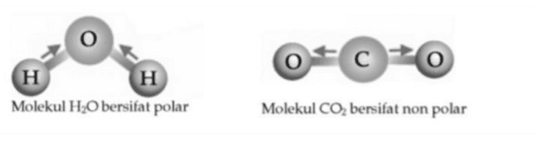 Gas CO2 air (H20) o=cro Η Η 
C C H Η H н Molekul H,O bersifat polar Molekul CO2 bersifat non polar 