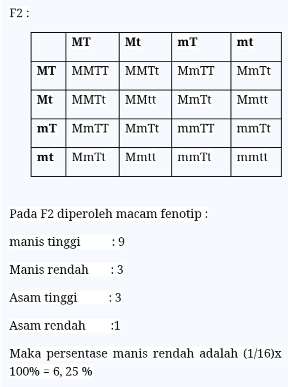 Pembahasan Soal: : manis, rendah X asam, P1 tinggi Genotip : MMtt mmTT Gamet : Mt mT F1 : MmTt (manis, tinggi) P2 : manis, tinggi x manis, tinggi Genotip : MmTt MmTt Gamet : MT MT Mt Mt mT mT mt mt 
F2: MT Mt mT mt MT MMTT MMTt MmTT MmTt Mt MMTt MMtt MmTt Mmtt mT MMTT MmTt mmTT mmTt mt MmTt Mmtt mmTt mmtt Pada F2 diperoleh macam fenotip : manis tinggi :9 Manis rendah : 3 Asam tinggi :3 Asam rendah :1 Maka persentase manis rendah adalah (1/16)x 100% = 6, 25 % 