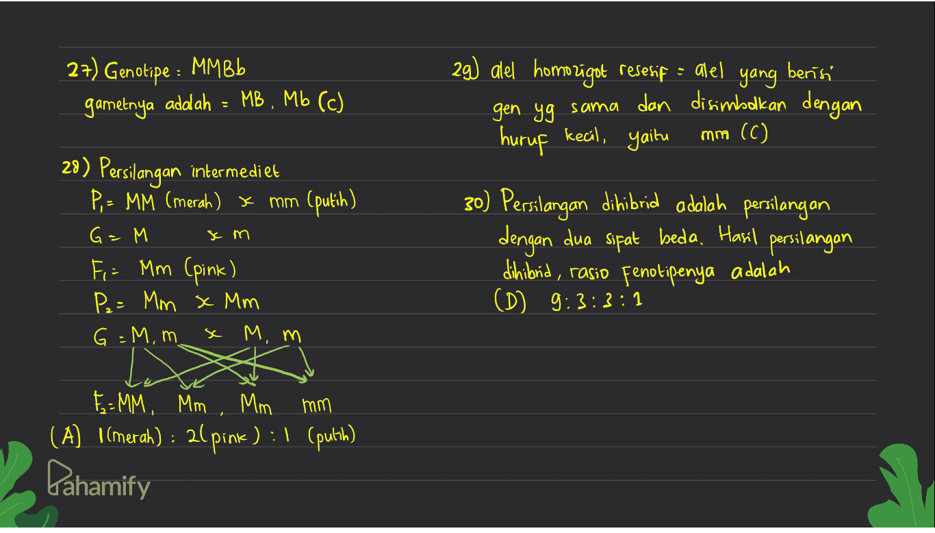 27) Genotipe : MM Bb gametnya adalah MB , Mb (c) 29) alel homogot resesif = alel yang berisi gen yg sama dan disimbolkan dengan huruf kecil, yaitu mm (C) x m 28) Persilangan intermediet P,= MM (merah) x mm (putih) G=M Fi: Mm (pink) P2= Mm x Mm G=M, m x M,m 30) Persilangan dihibrid adalah persilangan dengan dua sifat beda. Hasil persilangan dihibrid, rasio Fenotipenya adalah (D) 9:3:3:1 E=MM, MM, Mm mm (A) 1 (merah) : 2l pink) : 1 (putih) Pahamify : ) 