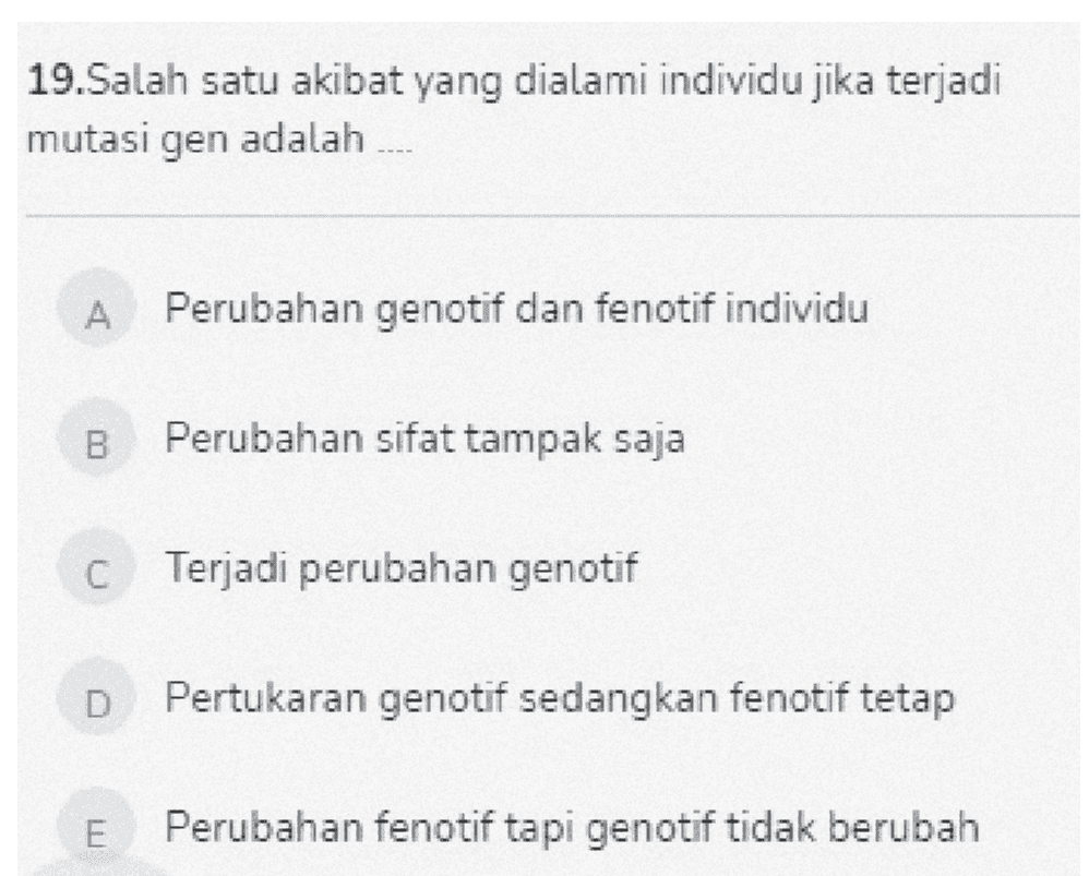 19.Salah satu akibat yang dialami individu jika terjadi mutasi gen adalah .... A Perubahan genotif dan fenotif individu B Perubahan sifat tampak saja C Terjadi perubahan genotif D Pertukaran genotif sedangkan fenotif tetap E Perubahan fenotif tapi genotif tidak berubah 