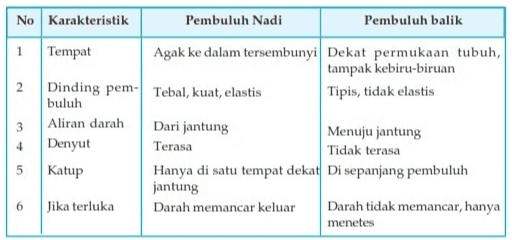 1 2 3 No Karakteristik Pembuluh Nadi Pembuluh balik Tempat Agak ke dalam tersembunyi Dekat permukaan tubuh, tampak kebiru-biruan Dinding pem- Tebal, kuat, elastis Tipis, tidak elastis buluh Aliran darah Dari jantung Menuju jantung Denyut Terasa Tidak terasa Katup Hanya di satu tempat dekat Di sepanjang pembuluh jantung Jika terluka Darah memancar keluar Darah tidak memancar, hanya menetes 4 5 6 