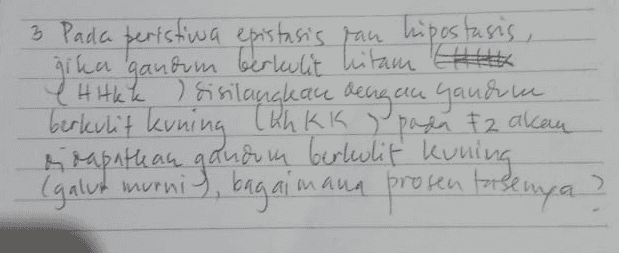 3 Pada peristiwa epistasis pan hipostasis, gika ganorum berkulit hitam Elite e Hitke I sisilangkan dengan gandim berkulit kuning Chhkk (galut murnis, bagaimana prosen forsempa e rapthau gandum berkulit kuning > 