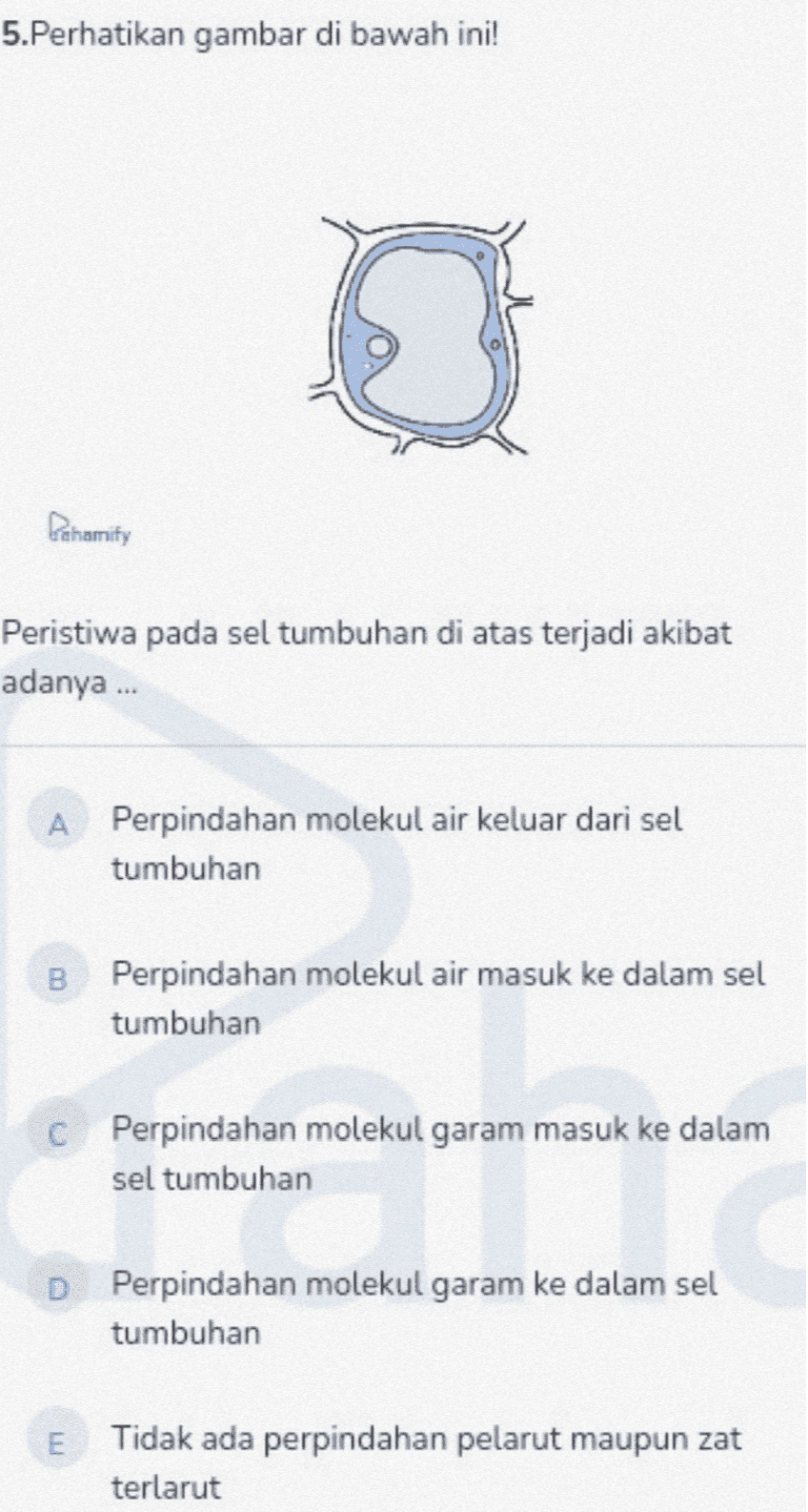 5. Perhatikan gambar di bawah ini! Dehamity Peristiwa pada sel tumbuhan di atas terjadi akibat adanya ... А Perpindahan molekul air keluar dari sel tumbuhan B Perpindahan molekul air masuk ke dalam sel tumbuhan C Perpindahan molekul garam masuk ke dalam sel tumbuhan D Perpindahan molekul garam ke dalam sel tumbuhan m. Tidak ada perpindahan pelarut maupun zat terlarut 