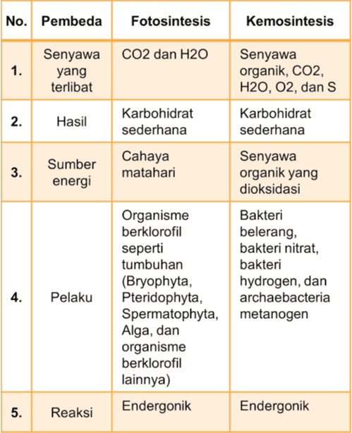 No. Pembeda Fotosintesis Kemosintesis CO2 dan H20 1. Senyawa yang terlibat 2. Hasil Karbohidrat sederhana Senyawa organik, CO2, H20, 02, dan S Karbohidrat sederhana Senyawa organik yang dioksidasi 3. Sumber energi Cahaya matahari Bakteri belerang, bakteri nitrat, bakteri hydrogen, dan archaebacteria metanogen 4. Organisme berklorofil seperti tumbuhan (Bryophyta, Pteridophyta, Spermatophyta, Alga, dan organisme berklorofil lainnya) Endergonik Pelaku 5. Reaksi Endergonik 