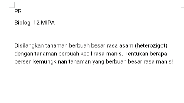 PR Biologi 12 MIPA Disilangkan tanaman berbuah besar rasa asam (heterozigot) dengan tanaman berbuah kecil rasa manis. Tentukan berapa persen kemungkinan tanaman yang berbuah besar rasa manis! 