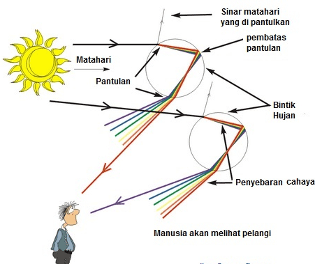 Sinar matahari yang di pantulkan pembatas pantulan Matahari Pantulan Bintik Hujan Penyebaran cahaya Manusia akan melihat pelangi 
