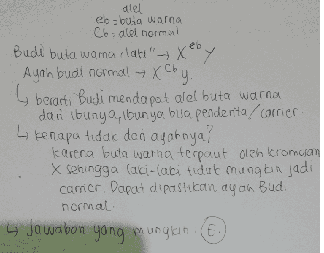 alel eb=buta warna Chale normal Budi buta wamarlaciXeby Ayah budi normal 7 X Cby 5 berarti Budi mendapat alel buta warna dan ibunya, Ibunya busa pendenta / carrier. 4 kenapa tidak dan ayahnya? Karena buta warna terpaut oleh cromosom X sehingga laki-laki tidak mungkin jadi carrier. Dapat dipastican ayon Budi normal 4 Jawaban yang munglan :(E. 