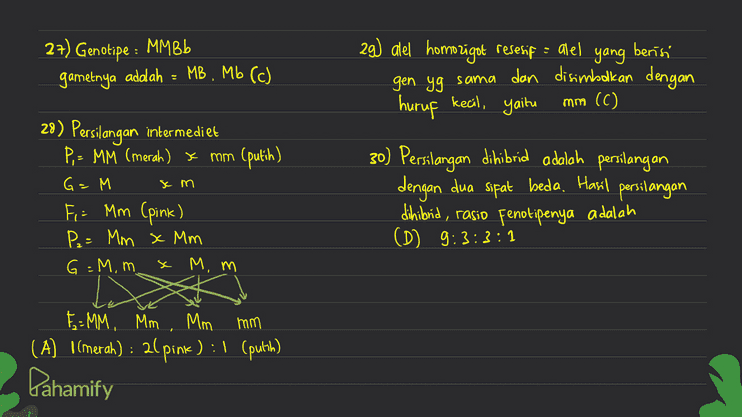 27) Genotipe : MMBb gametnya adalah = MB , Mb (c) 29) atel homozigot resesif : alel yang berisi gen yg sama dan disimbolkan dengan huruf kecil, yaitu mm (C) x m 28) Persilangan intermediet P = MM (merah) x mm (putih) , G=M Fi: Mm (pink) Pe= Mm x Mm G:Mm у м. М. 30) Persilangan dihibrid adalah persilangan dengan dua sifat beda. Hasil persilangan dihibrid, rasio Fenotipenya adalah (D) 9: 3:3:1 E=MM, MM, Mm mm (A) 1 (merah) : 2(pink) : 1 (putih) Pahamify 
