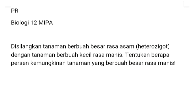 PR Biologi 12 MIPA Disilangkan tanaman berbuah besar rasa asam (heterozigot) dengan tanaman berbuah kecil rasa manis. Tentukan berapa persen kemungkinan tanaman yang berbuah besar rasa manis! 