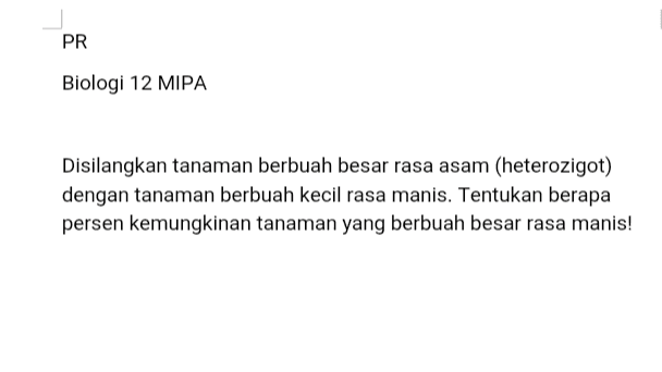 PR Biologi 12 MIPA Disilangkan tanaman berbuah besar rasa asam (heterozigot) dengan tanaman berbuah kecil rasa manis. Tentukan berapa persen kemungkinan tanaman yang berbuah besar rasa manis! 