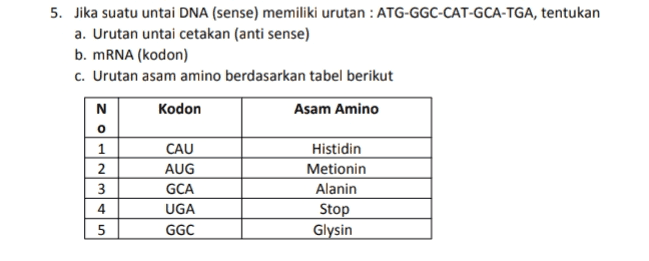 z 5. Jika suatu untai DNA (sense) memiliki urutan : ATG-GGC-CAT-GCA-TGA, tentukan a. Urutan untai cetakan (anti sense) b. mRNA (kodon) c. Urutan asam amino berdasarkan tabel berikut N Kodon Asam Amino o 1 CAU Histidin 2 AUG Metionin 3 GCA Alanin 4 UGA Stop 5 GGC Glysin 