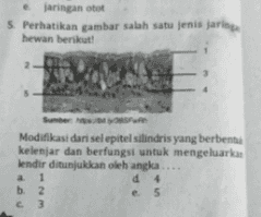 jaringan otot 5. Perhatikan gambar salah satu jenis jaring hewan berikut! Sumber Modifikasi dari sel epitel silindris yang berbenta kelenjar dan berfungsi untuk mengeluarkan lendir ditunjukkan oleh angka... a 1 d 4 b. 2 e 5 c3 