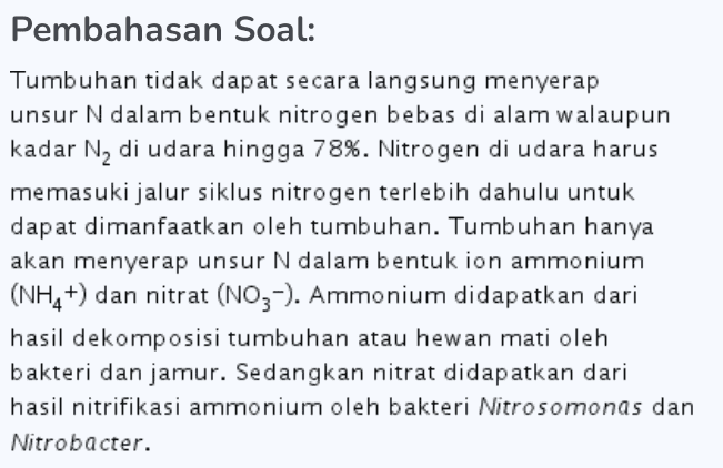 Pembahasan Soal: Tumbuhan tidak dapat secara langsung menyerap unsur N dalam bentuk nitrogen bebas di alam walaupun kadar N, di udara hingga 78%. Nitrogen di udara harus memasuki jalur siklus nitrogen terlebih dahulu untuk dapat dimanfaatkan oleh tumbuhan. Tumbuhan hanya akan menyerap unsur N dalam bentuk ion ammonium (NH4+) dan nitrat (NO3-). Ammonium didapatkan dari hasil dekomposisi tumbuhan atau hewan mati oleh bakteri dan jamur. Sedangkan nitrat didapatkan dari hasil nitrifikasi ammonium oleh bakteri Nitrosomonas dan Nitrobacter. 