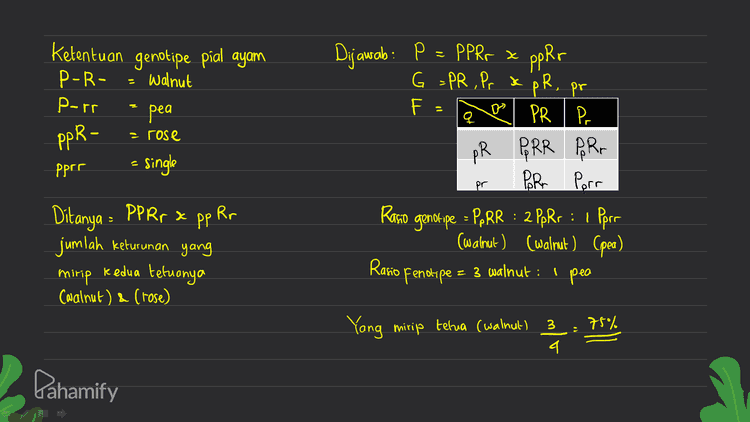 P: AABB CCI Gamet = ABC AaBb Cc x aabbcc se abc Csemuonya / 100%) maka kemungkinan keturunan Aabb Ce= 1 Pahamify 
Gen bentuk polong G dan g gen warna polong I dan gi F= or gi Dijawab : P: Gg Ji x Gg Ii G = GI, Gi, gl, x Gl, Gi, gI, gi GI Gi g) GGIL GGI: Gg II Gi GGI: GGii Gqli g] Ggl Gali Gg 9911 Ditanya = persilangan sifat heterozigot sesamanya genotipe heterozigot : GgIi x Gg Ii Ggli Ggii ggli gi Ggli Ggii 99 li ggi Rasio genotipe F: gG-J- - 1 GGS), 2 GGDi, 2Gg]Í , 4 Gg Ii 3G-il s 1 GGü, Ggli 1 2 آ وو2 11و19: -وو 3 I ggii Pahamify 
x k Ketentuan genotipe pial ayam P-R- Walnut - pea ppR- = single Porr 오 l Pr - rose Dijawab: P = PPR, P = PPRr x pphr G =PR, Pr PR, pr F à a PR I P. PR PRR PR. Porn Porn Ratio genotipe : PARR : 2 PpRr : 1 pprr = (walnut) (walnut) (pea) Ratio fenotipe = 3 walnut : ' pea ppre pr 2 Ditanya = PPR, & pp Rr . jumlah keturunan yang mirip kedua tetuanya (walnut) & (rose) 75% Yang mirip telua (walnut) 3 4 Pahamify 
sc P₂ = AaBb Cc D d Aa Bb Cc D d G = gamet nya banyak banget nih kalo dijabarkan kata pakai pendekatan matematika jumlah gamet: 2", n- jumlah heterozigot menentukan jumlah keturunan Außbcond dari persilangan AaBb Cc D d x Aa Bb Cc D d Aa x Aa, hasil Aa = 2 Bb se Bb, hasil Bb = 2 Cc se Cc, hasil Cc : 2 Da se Dd, hasil Dd : 2 ) 4. gamet - 29 AaBb Cc D d punya 4 heterozigot, jadi 16 P2= Aabb Cc Dd sc AaBb Cc D d G= 16 16 Jumlah keturunan fz = 16x16 = 256 kalau dijabarkan banyak banget Lalu 2x2 x 2 x 2 16 Jadi jumlah Aadb c Da : 16 C Marca rasio AaBb Cc D d 1b - I 16 256 Pahamify 