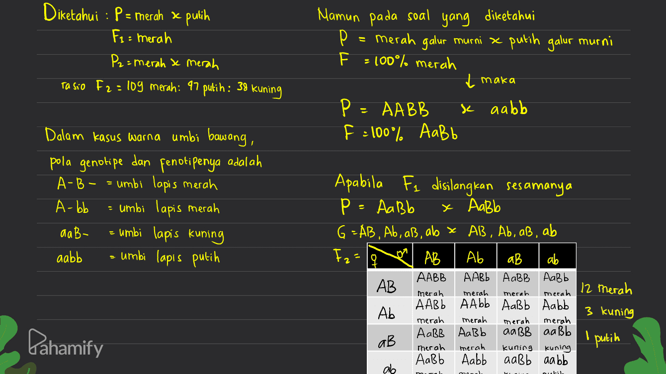 : S Diketahui : P = Merah x putih Fi= merah P2=merah & merah Tasio F2=109 merah: 47 putih : 30 kuning Mamun pada soal yang diketahui р merah galur murni te putih galur murni F = 100% merah Į maka Р AABB k aab F:100%. AaBb . Dalam kasus warna umbi bawang, pola genotipe dan fenotipenya adalah A-B - umbi lapis merah A-bb = umbi lapis merah aa B- = umbi lapis kuning aabb = umbi lapis putih Apabila fi disilangkan sesamanya P = Aabb x Aabb G =AB, Ab, aß, ab x AB, Ab, aß, ab 오 AB Ab ab ab AABB AABb AaBB Aabb AB AABb AAbb AaBb Aabb Ab AaBB Aabb aaBB aaßb fr merah merah merah merah 12 merah 3 kuning merah merah merah merah Pahamify aB putih merah merah kuning kuning Aabb Aabb aaBb aabb ab الدرج 