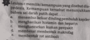Leukosit memiliki kemampuan yang disebut dia- pedesis. Kemampuan tersebut menunjukkan bahwa sel darah putih dapat.... a menembus keluar dinding pembuluh kapiler b. menghasilkan histamin dan heparin cmenghancurkan kuman penyakit d membesar membentuk makrofag membentuk zat antibodi e 