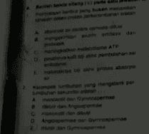 Cmeningkatkan metabolisme ATP D. paya kuathir pembelahan al En tak prones absorpu Kampok tumbuhan yang mengalam per 8 do dan Angiospermae O Angiospermae den Gymnospermae