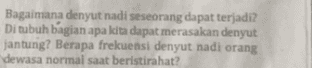 Bagaimana denyut nadi seseorang dapat terjadi? Di tubuh bagian apa kita dapat merasakan denyut jantung? Berapa frekuensi denyut nadi orang dewasa normal saat beristirahat? 