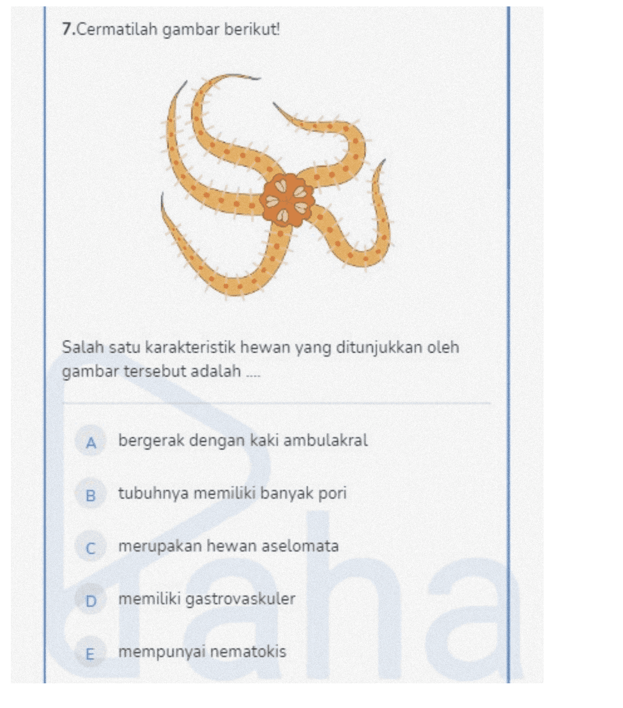 7.Cermatilah gambar berikut! Salah satu karakteristik hewan yang ditunjukkan oleh gambar tersebut adalah .... A bergerak dengan kaki ambulakral B tubuhnya memiliki banyak pori С merupakan hewan aselomata D memiliki gastrovaskuler E mempunyai nematokis 