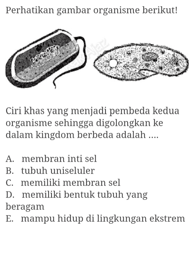 Perhatikan gambar organisme berikut! laz Ciri khas yang menjadi pembeda kedua organisme sehingga digolongkan ke dalam kingdom berbeda adalah .... A. membran inti sel B. tubuh uniseluler C. memiliki membran sel D. memiliki bentuk tubuh yang beragam E. mampu hidup di lingkungan ekstrem 