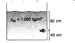 Pa = 1.000 kg/m 80 cm 40 cm 