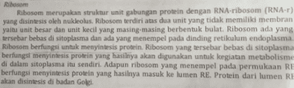 Ribosom Ribosom merupakan struktur unit gabungan protein dengan RNA-ribosom (RNA-r) yang disintesis oleh nukleolus. Ribosom terdiri atas dua unit yang tidak memiliki membran yaitu unit besar dan unit kecil yang masing-masing berbentuk bulat. Ribosom ada yang tersebar bebas di sitoplasma dan ada yang menempel pada dinding retikulum endoplasma. Ribosom berfungsi untuk menyintesis protein. Ribosom yang tersebar bebas di sitoplasma berfungsi menyintesis protein yang hasilnya akan digunakan untuk kegiatan metabolisme di dalam sitoplasma itu sendiri. Adapun ribosom yang menempel pada permukaan RE berfungsi menyintesis protein yang hasilnya masuk ke lumen RE. Protein dari lumen RE akan disintesis di badan Golgi 