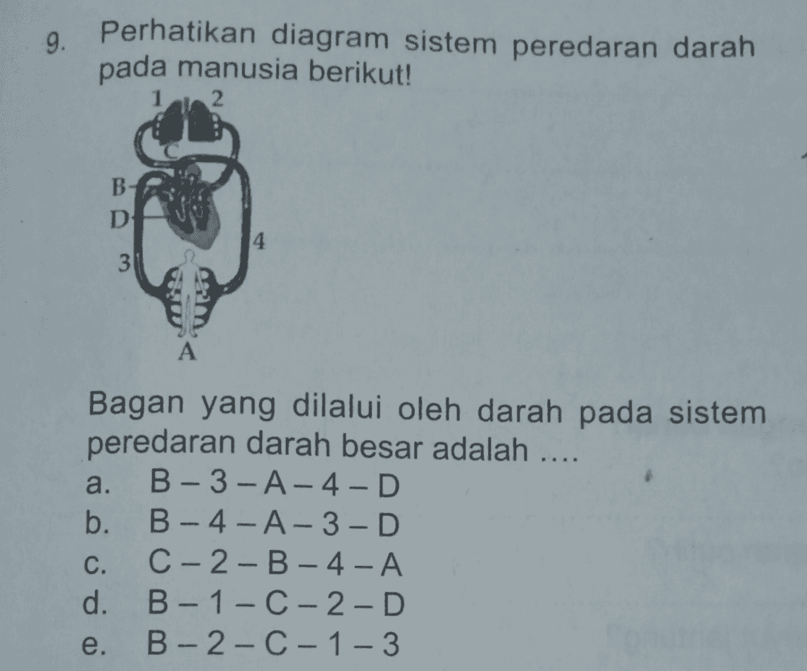 9. Perhatikan diagram sistem peredaran darah pada manusia berikut! 12 B D 3 A Bagan yang dilalui oleh darah pada sistem peredaran darah besar adalah .... a. B-3-A-4-D b. B - 4-A-3-D C. C-2 - B - 4 - A d. B - 1-C-2-D e. B-2-C - 1 - 3 - - 
