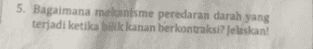 5. Bagaimana mekanisme peredaran darah yang terjadi ketika bilik kanan berkontraksi? Jelaskan! 