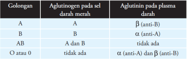 Golongan Aglutinogen pada sel darah merah A A Aglutinin pada plasma darah B (anti-B) a (anti-A) tidak ada a (anti-A) dan B (anti-B) B AB B A dan B tidak ada O atau 0 