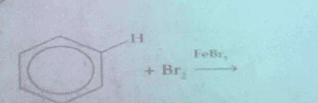ІН Febr, + Br. 