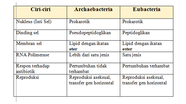 Ciri-ciri Archaebacteria Eubacteria Nukleus (Inti Sel) Prokarotik Prokarotik Dinding sel Pseudopeptidoglikan Peptidoglikan Membran sel Lipid dengan ikatan eter Lebih dari satu jenis Lipid dengan ikatan ester Satu jenis RNA Polimerase Pertumbuhan terhambat Respon terhadap antibiotik Reproduksi Pertumbuhan tidak terhambat Reproduksi aseksual, transfer gen horizontal Reproduksi aseksual, transfer gen horizontal 