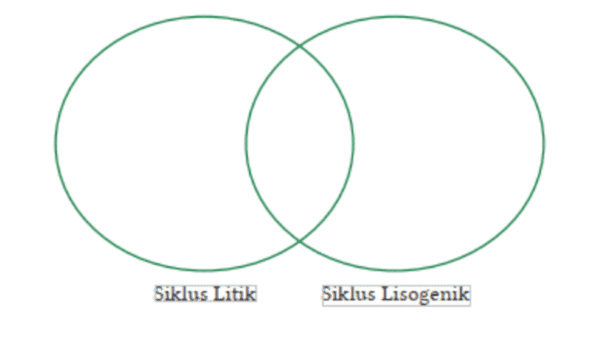 Siklus Litik Siklus Lisogenik 