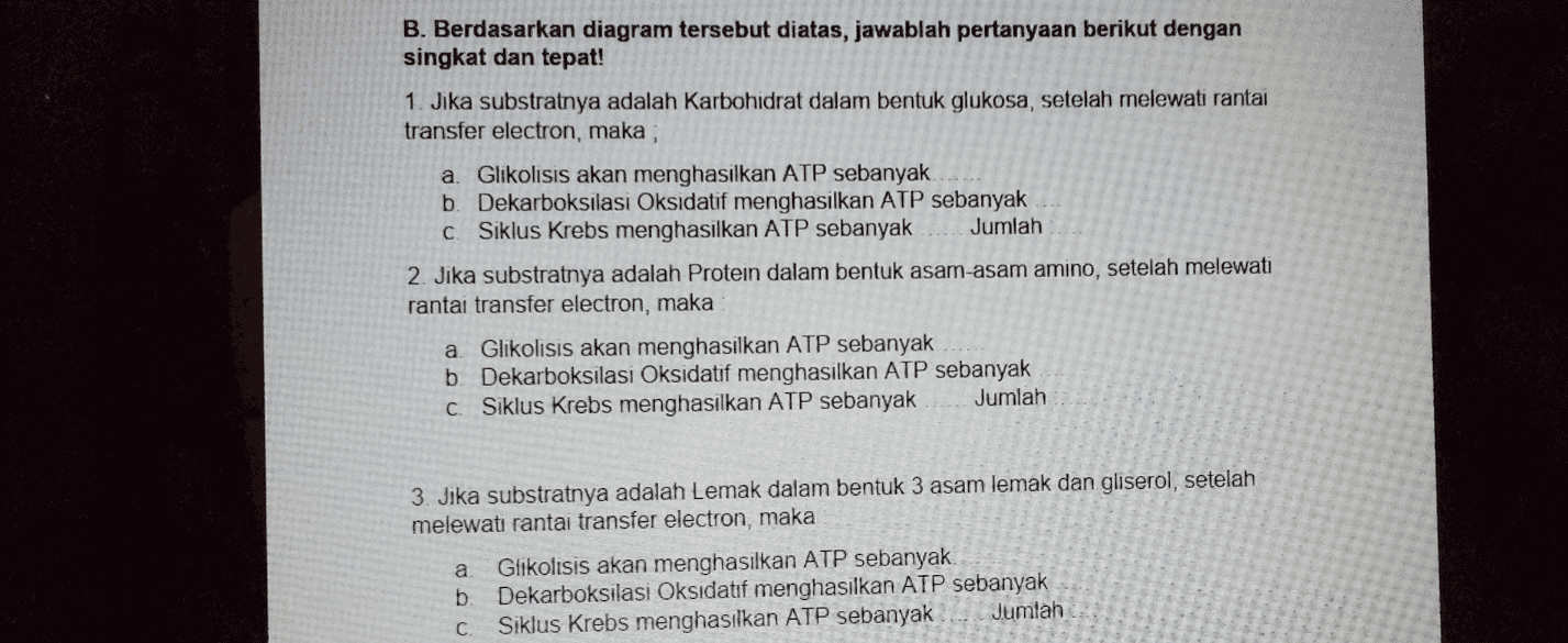 B. Berdasarkan diagram tersebut diatas, jawablah pertanyaan berikut dengan singkat dan tepat! 1. Jika substratnya adalah karbohidrat dalam bentuk glukosa, setelah melewati rantai transfer electron, maka, a. Glikolisis akan menghasilkan ATP sebanyak b. Dekarboksilasi Oksidatif menghasilkan ATP sebanyak C. Siklus Krebs menghasilkan ATP sebanyak Jumlah 2. Jika substratnya adalah Protein dalam bentuk asam-asam amino, setelah melewati rantai transfer electron, maka a. Glikolisis akan menghasilkan ATP sebanyak b. Dekarboksilasi Oksidatif menghasilkan ATP sebanyak C. Siklus Krebs menghasilkan ATP sebanyak Jumlah 3. Jika substratnya adalah Lemak dalam bentuk 3 asam lemak dan gliserol, setelah melewati rantai transfer electron, maka Glikolisis akan menghasilkan ATP sebanyak b Dekarboksilasi Oksidatif menghasilkan ATP sebanyak С Siklus Krebs menghasilkan ATP sebanyak Jumlah a 