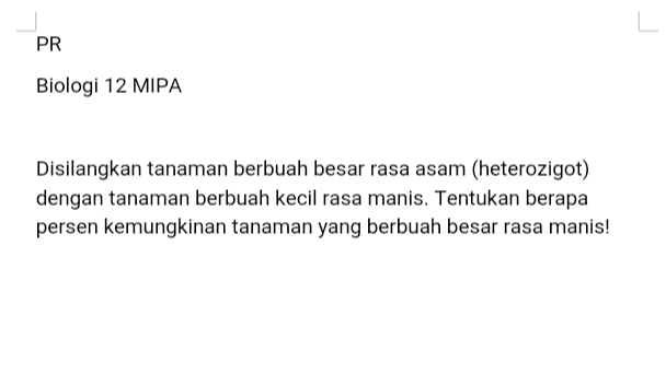 PR Biologi 12 MIPA Disilangkan tanaman berbuah besar rasa asam (heterozigot) dengan tanaman berbuah kecil rasa manis. Tentukan berapa persen kemungkinan tanaman yang berbuah besar rasa manis! 