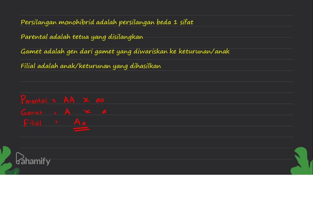 Persilangan monohibrid adalah persilangan beda 1 sifat Parental adalah tetua yang disilangkan Gamet adalah gen dari gamet yang diwariskan ke keturunan/anak Filial adalah anak/keturunan yang dihasilkan Parental Gamet Filial AA X aa А. a Аа Pahamify 