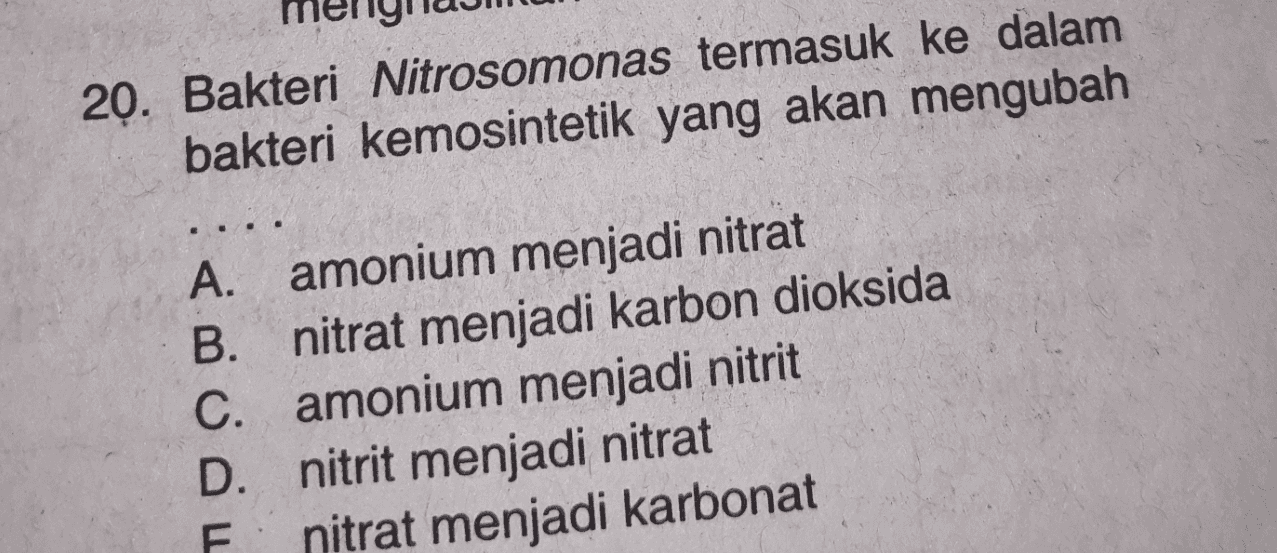 20. Bakteri Nitrosomonas termasuk ke dalam bakteri kemosintetik yang akan mengubah A. amonium menjadi nitrat B. nitrat menjadi karbon dioksida C. amonium menjadi nitrit D. nitrit menjadi nitrat nitrat menjadi karbonat F 