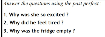 Answer the questions using the past perfect : 1. Why was she so excited ? 2. Why did he feel tired ? 3. Why was the fridge empty? 
