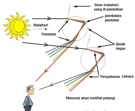 Sinar matahari yang di pantulkan pembatas pantulan Matahari Pantulan Bintik Hujan Penyebaran cahaya Manusia akan melihat pelangi 
Sinar matahari yang di pantulkan pembatas pantulan Matahari Pantulan Bintik Hujan Penyebaran cahaya Manusia akan melihat pelangi 