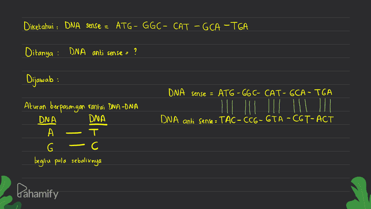 Diketahui : DNA sense = ATG - GGC- CAT – GCA -TGA Ditanya : DNA anti sense = ? Dijawab : DNA sense = ATG -GG C- CAT- GCA - TGA DNA anti sense : TAC-CCG-GTA -C6T-ACT Aturan berpasangan rantai DNA -DNA DNA DNA A T G -C begitu pula sebaliknya Pahamify 
asam amino Kodon CAU histidin Diketahui : DNA sense = ATG - GGC- CAT – GCA -TGA TAC- CCG-GTA - CGT -ACT kodon / MRNA AUG - 66C CAU -GCA UGA DNA antisense = AUG metionin GA alanin UGA stop glysin Ditanya : ) urutan asam amino GGC - Kodon = Aug - GGC - CAU – GCA - UGA glysın – histidin - alanin – stop metionin - Dijawab: menentukan urutan asam amino dari hasil translasi. Translasi adalah penerjemahan mRNA (kodon) oleh tRNA di ribosom. Urutan asam-amino dapat dilihat dari tabel asam amino Pahamify 
Diketahui : DNA sense = ATG - GGC- CAT – GCA -TGA DNA anti sense : TAC - CCG -GTA - CGT -ACT Ditanya : MRNA (ko don) = ? Dijawab: rantai DNA yang menjadi Cetakon untuk membentuk mRNA adalah rantai DNA antisense Gunakan DNA antirense sebagai Cetakan DNA antisense - TAC-CCG-GTA - CGT-ACT mRNA : AUG-GGC-CAU -GCA-UGA Aturan berpasangan rantai DNA -mRNA DNA MRNA A т Pahamify Trou no > s А C G c 
